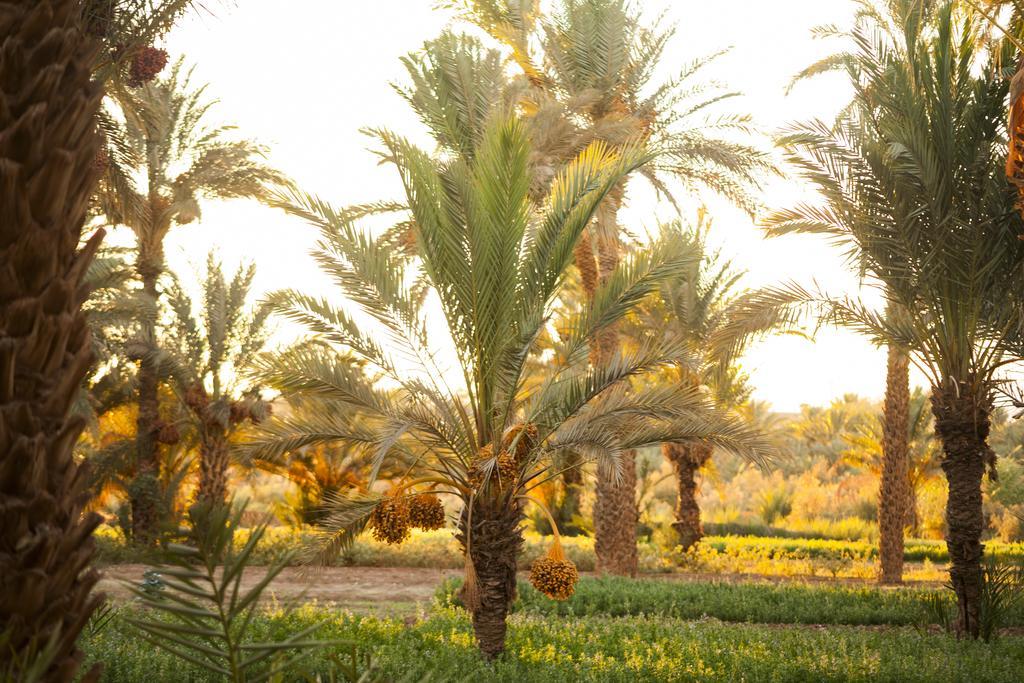 Bed & Breakfast Soleil Du Monde Zagora